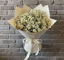 Букет цветов из:  Ромашки #REPLACE_PRED# Брусянский